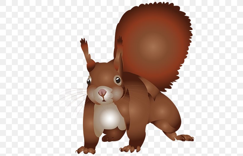 Squirrel Cartoon Illustration, PNG, 500x528px, Squirrel, Beaver, Carnivoran, Cartoon, Fauna Download Free