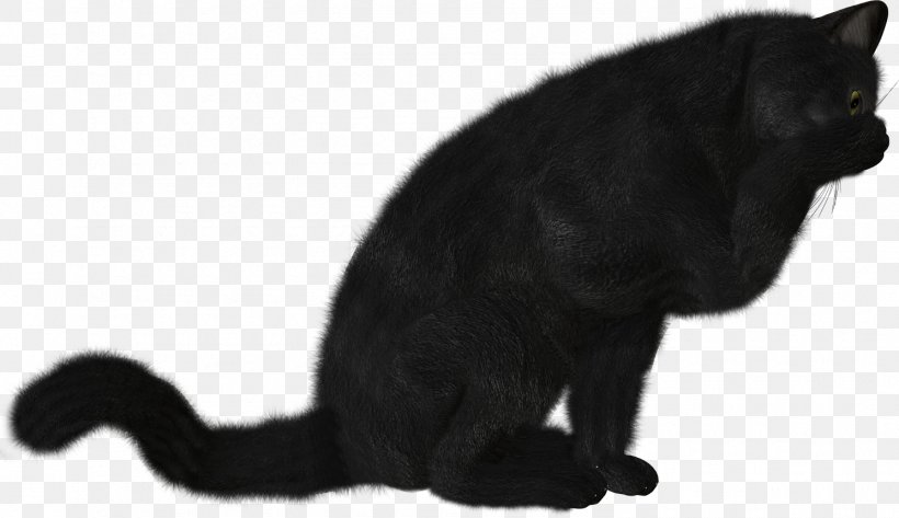 Black Cat Photography Clip Art, PNG, 1490x861px, Cat, Animal, Black, Black And White, Black Cat Download Free
