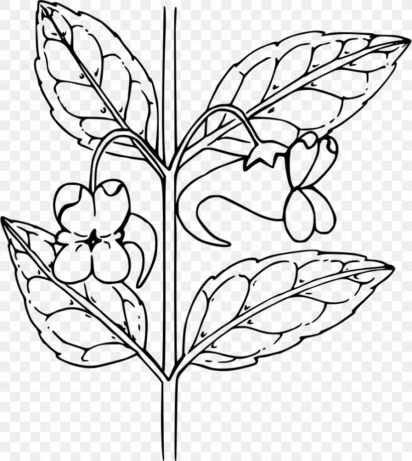 Brush-footed Butterflies Floral Design Flower Spotted Touch-me-not Clip Art, PNG, 893x1000px, Brushfooted Butterflies, Area, Art, Black And White, Branch Download Free