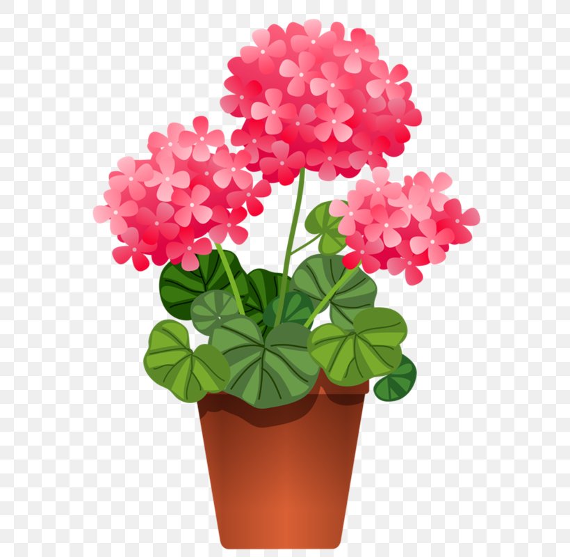 Houseplant Flower Clip Art, PNG, 575x800px, Plant, Annual Plant, Cut Flowers, Floral Design, Flower Download Free