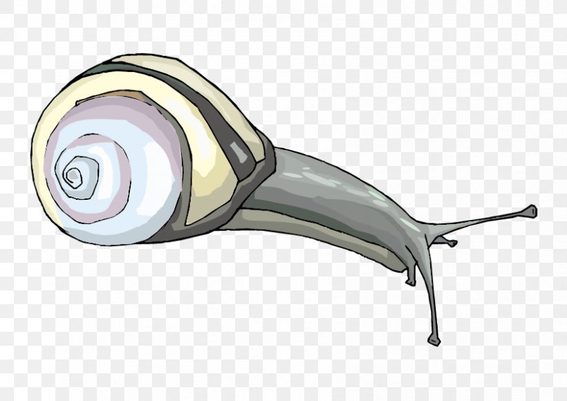 Snail Escargot Gastropods Clip Art, PNG, 842x596px, Snail, Animal, Animation, Gastropod Shell, Gastropods Download Free