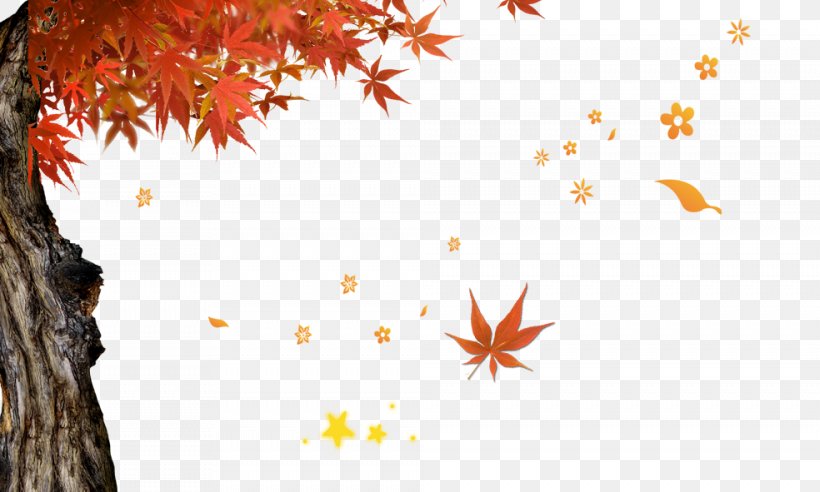 Text Leaf Illustration, PNG, 984x591px, Autumn, Autumn Leaf Color, Deciduous, Illustration, Leaf Download Free