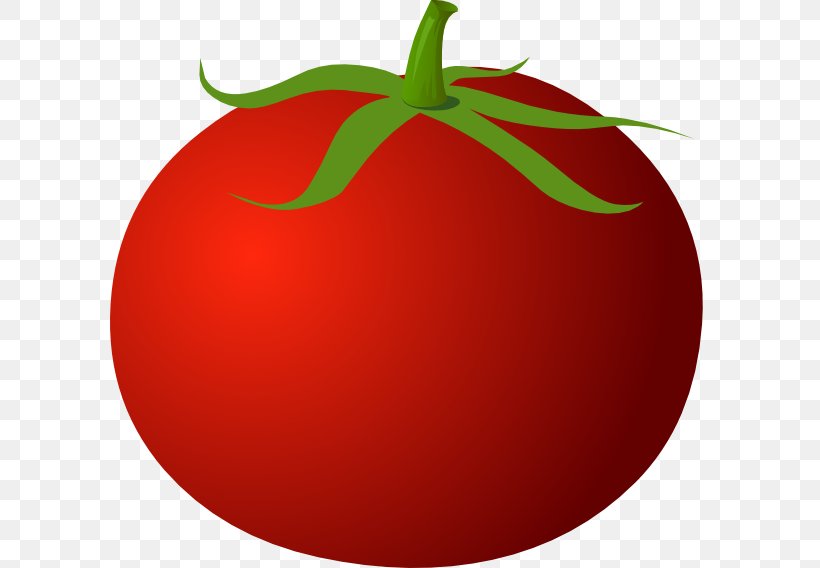 Tomato Clip Art, PNG, 600x568px, Tomato, Apple, Drawing, Food, Fruit Download Free