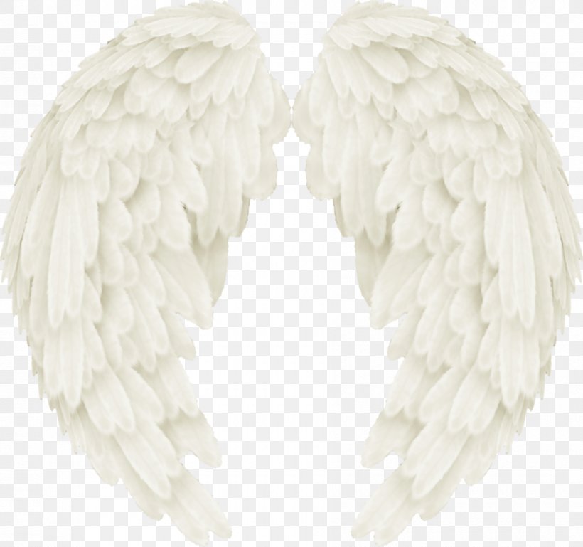 Image White Centerblog Vector Graphics, PNG, 900x845px, White, Blog, Centerblog, Color, Feather Download Free