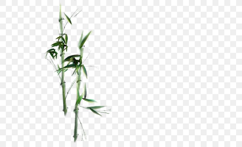 Bamboo Twig Plant Stem, PNG, 684x500px, Bamboo, Branch, Flora, Grass, Grass Family Download Free