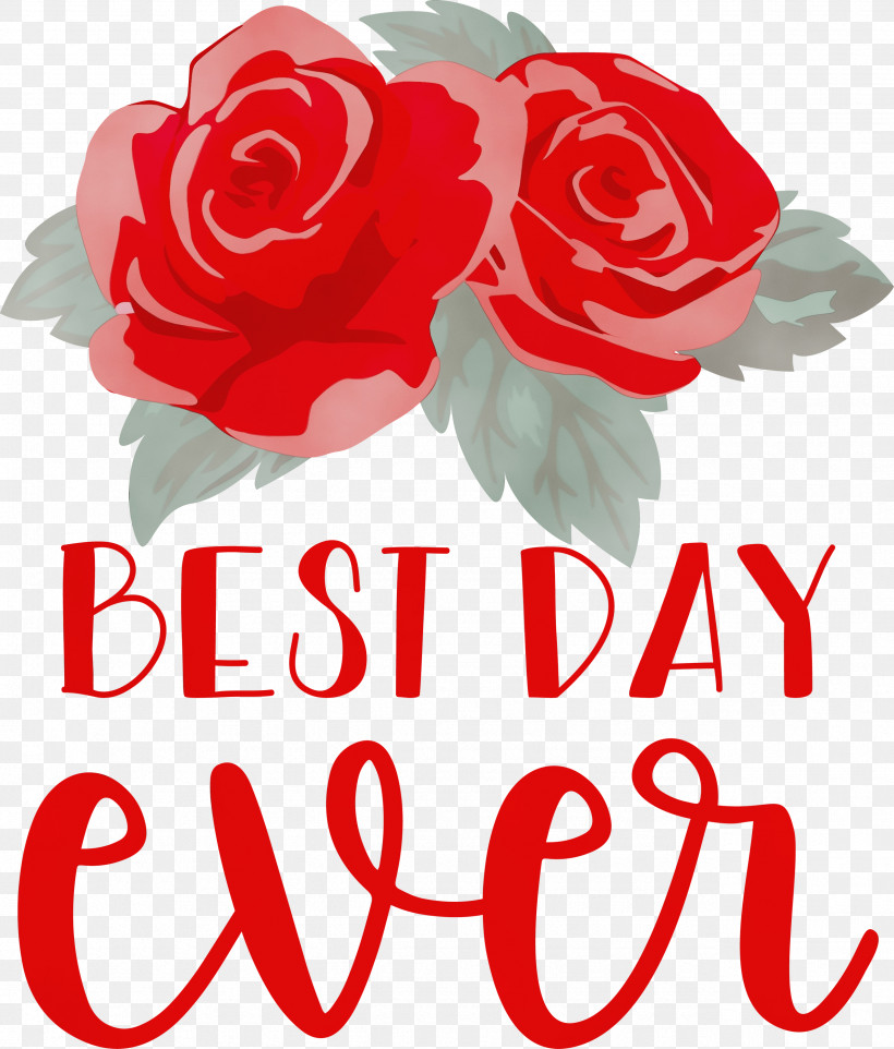 Garden Roses, PNG, 2555x3000px, Best Day Ever, Cut Flowers, Drawing, Flower, Flower Bouquet Download Free