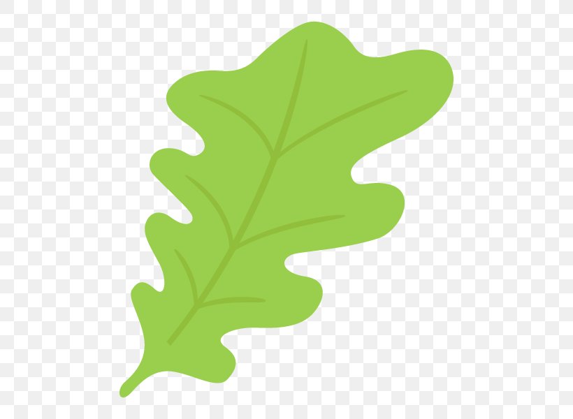 Leaf Plant Stem Tree Flowering Plant Plants, PNG, 600x600px, Leaf, Flowering Plant, Green, Plant, Plant Stem Download Free