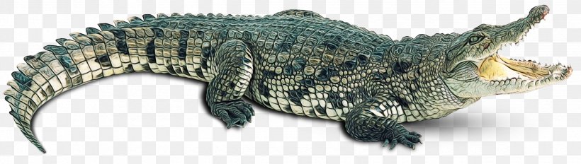 Sea Turtle Background, PNG, 2470x700px, Aquatic Animals, Alligator, Alligators, American Alligator, American Crocodile Download Free