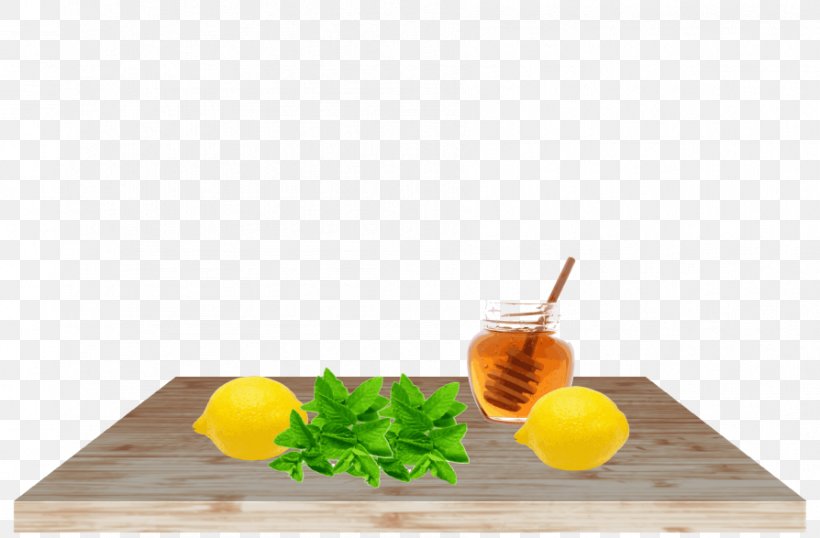 Alcoholic Beverages Drink Alcoholism, PNG, 894x587px, Alcoholic Beverages, Alcoholism, Citrus, Drink, Food Download Free