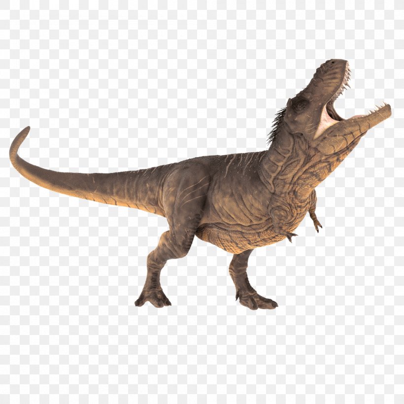 Dinosaur Velociraptor Triceratops Stegosaurus Tyrannosaurus Rex, PNG, 1000x1000px, Dinosaur, Animal, Animal Figure, Carnivore, El Patio Download Free