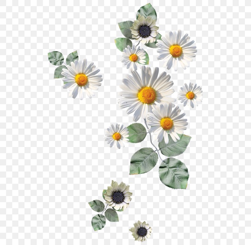 Flower Paper Drawing Icon, PNG, 525x800px, Flower, Art, Common Daisy, Daisy, Daisy Family Download Free