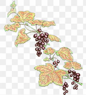 Grape Leaves Grape Leaf Grapevine Family Plant PNG