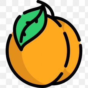 Peach Icon PNG