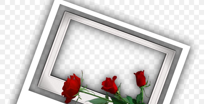 Picture Frames PhotoScape GIMP, PNG, 800x420px, Picture Frames, Addition, Facebook, Facebook Inc, Flower Download Free