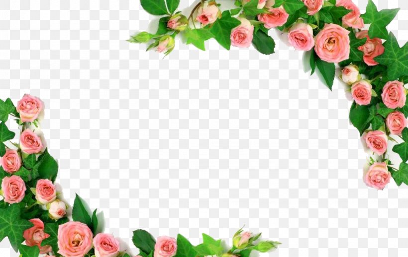 Rose U30c7u30a3u30aau30fcu30cd U5409u7965u5bfau5e97 Pink Photography Royalty-free, PNG, 1024x647px, Rose, Film Frame, Flora, Floral Design, Floristry Download Free
