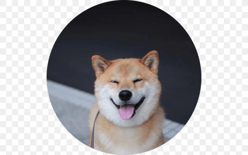 Shiba Inu Akita Shikoku Hokkaido Dog Puppy, PNG, 512x512px, Shiba Inu, Akita, Akita Inu, Animal, Breed Download Free