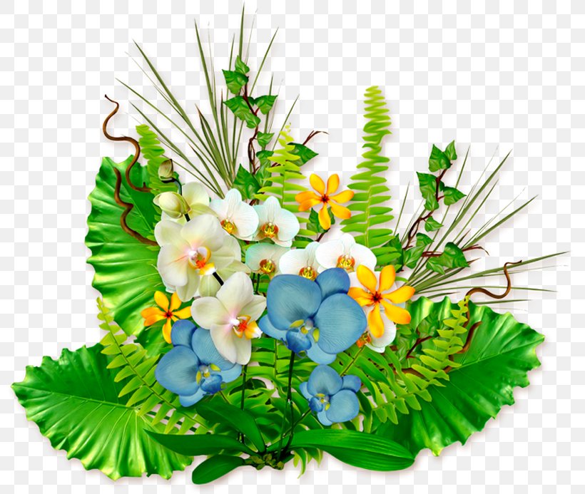 Floral Design Orchids Flower Plant, PNG, 800x693px, Floral Design, Artificial Flower, Cut Flowers, Daytime, Floristry Download Free