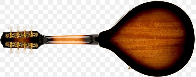 Mandolin Brazil String Phosphor Bronze Tuning Peg, PNG, 2400x944px, Mandolin, Brazil, Bridge, Bronze, Button Download Free