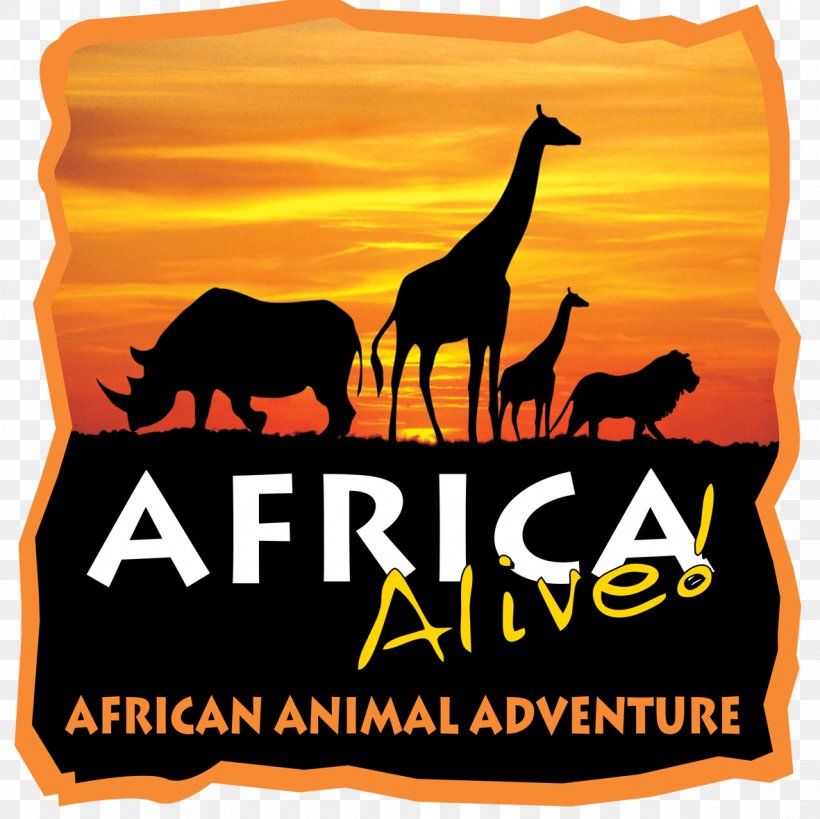 Africa Alive! Lowestoft Walk For Wildlife, PNG, 1181x1181px, Lowestoft, Advertising, Brand, Giraffidae, Hunting Download Free