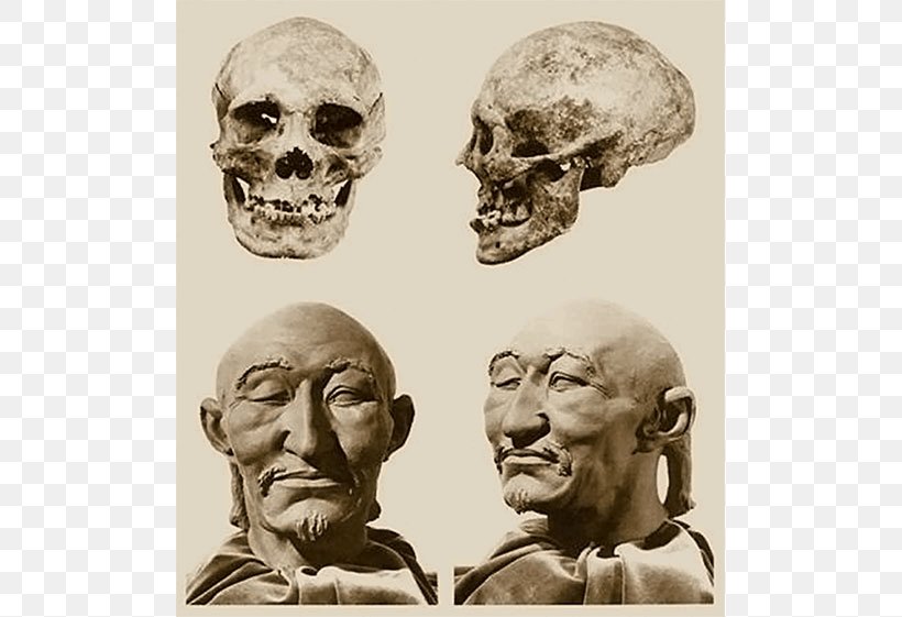 Attila Pannonian Avars Huns Khanate Anthropology, PNG, 561x561px, Attila, Anthropology, Avars, Bone, Classical Sculpture Download Free