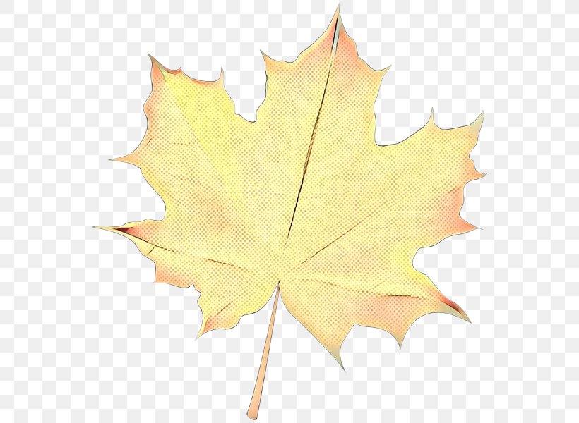 Maple Leaf, PNG, 567x600px, Pop Art, Black Maple, Leaf, Maple, Maple Leaf Download Free