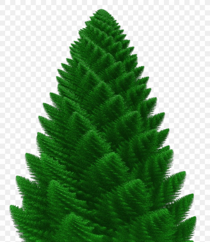 Spruce Fir Pine Christmas Tree Evergreen, PNG, 833x959px, Spruce, Biome, Christmas, Christmas Tree, Conifer Download Free