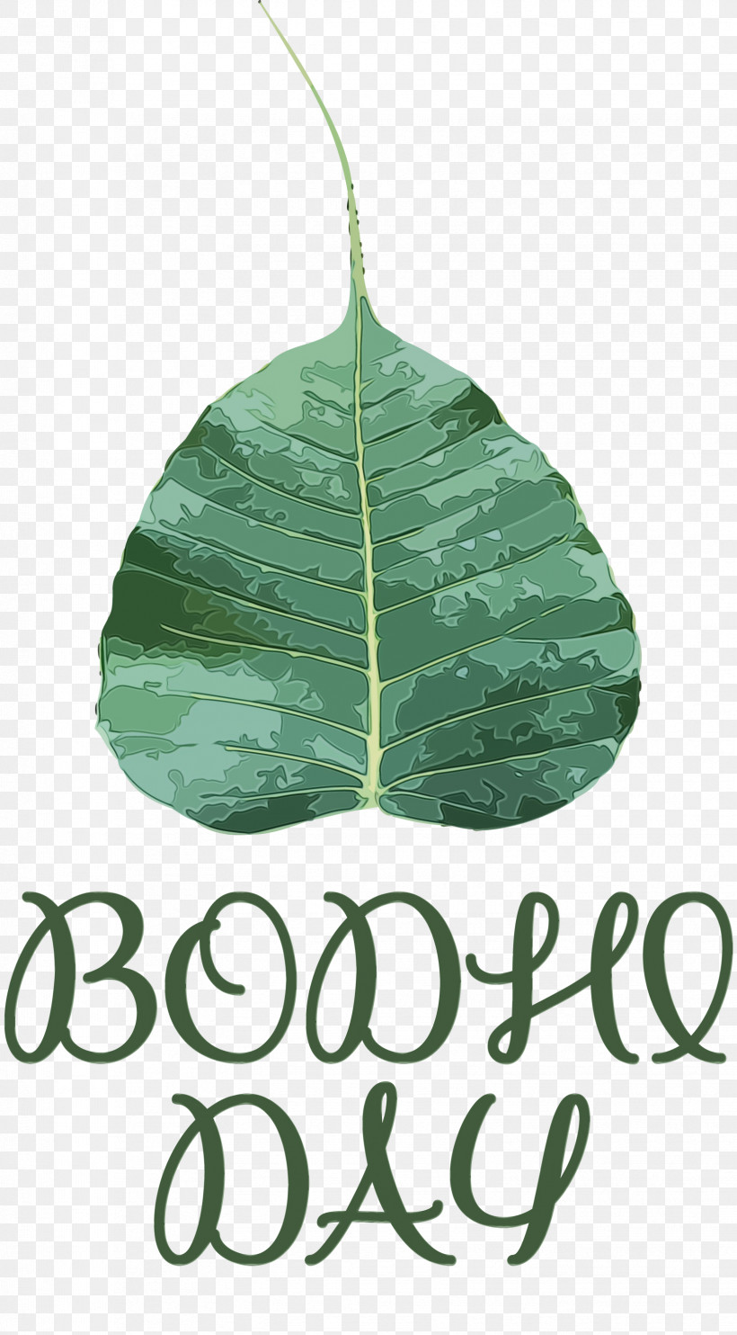 Leaf Green Meter Biology Science, PNG, 1657x3000px, Bodhi Day, Biology, Green, Leaf, Meter Download Free