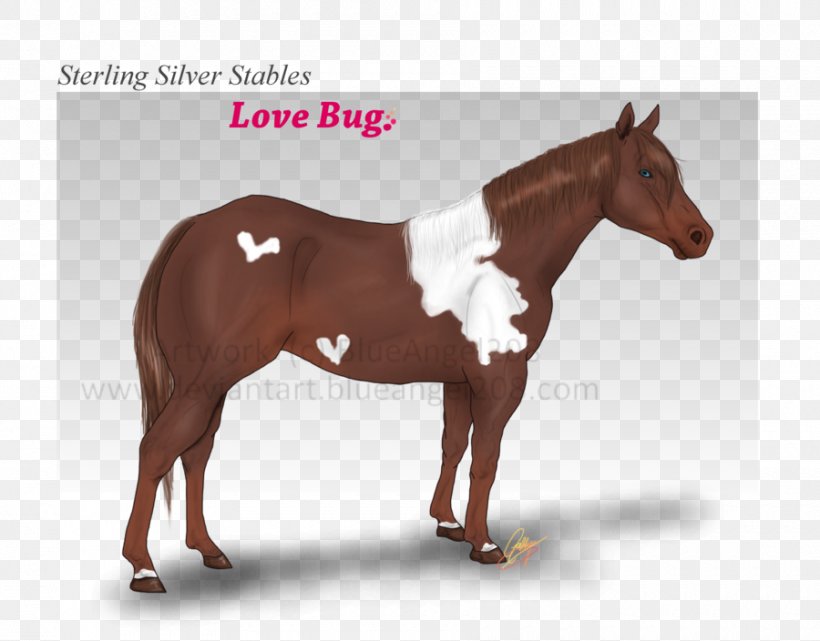 Stallion Mustang Halter Mare Pony, PNG, 900x704px, Stallion, Bit, Bridle, Halter, Horse Download Free