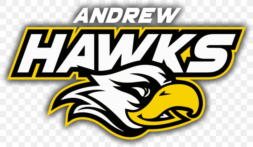 Andrew Logo Brand School Font, PNG, 916x532px, Andrew, Area, Atlanta Hawks, Brand, Iowa Download Free