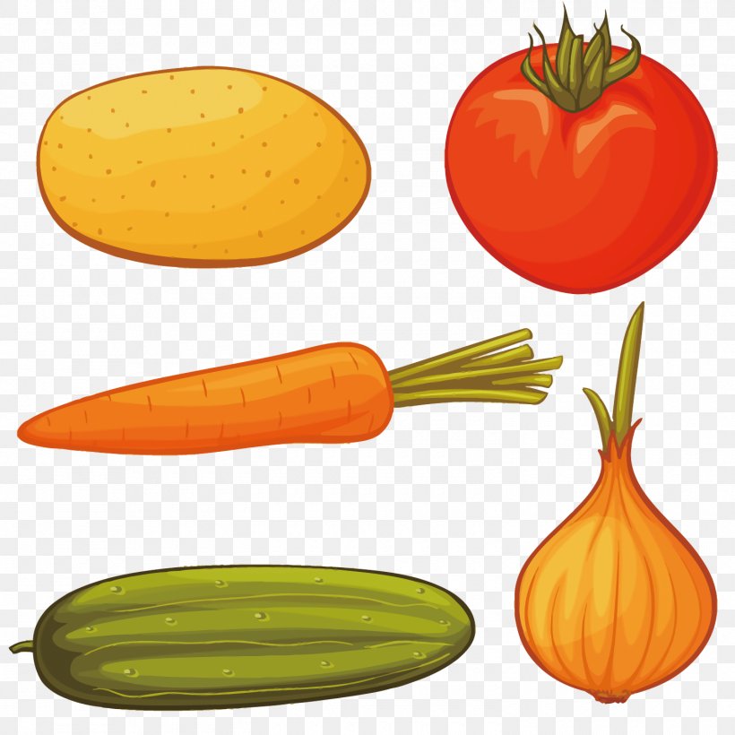 Carrot Onion Drawing Royalty-free, PNG, 1500x1500px, Carrot, Calabaza, Cartoon, Cucumber, Cucumber Gourd And Melon Family Download Free