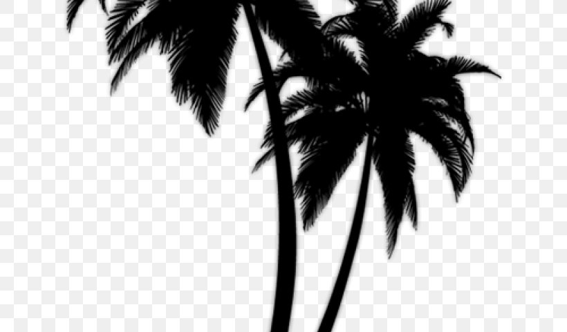 Palm Trees Clip Art Transparency Vector Graphics, PNG, 640x480px, Palm Trees, Arecales, Attalea Speciosa, Black, Blackandwhite Download Free