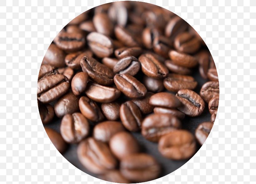 Single-origin Coffee Espresso Cafe Coffee Bean, PNG, 588x588px, Coffee, Arabica Coffee, Barista, Bean, Brewed Coffee Download Free