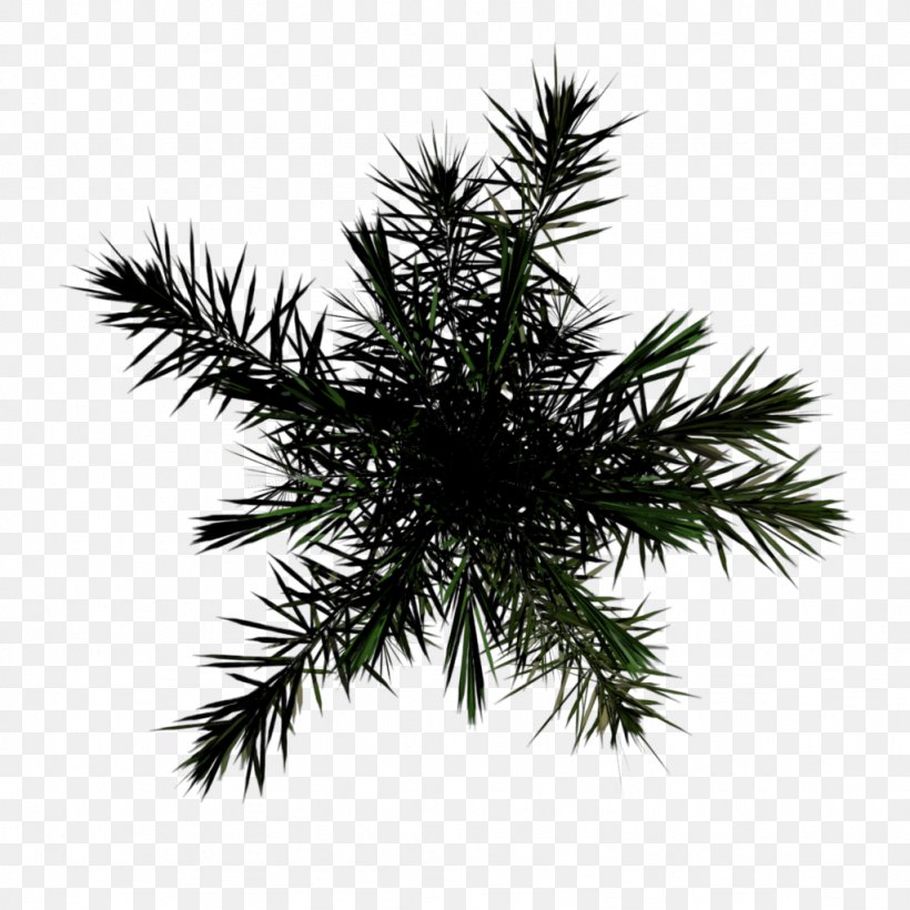 Spruce Christmas Ornament Fir Christmas Tree, PNG, 1024x1024px, Spruce, Branch, Christmas, Christmas Decoration, Christmas Ornament Download Free