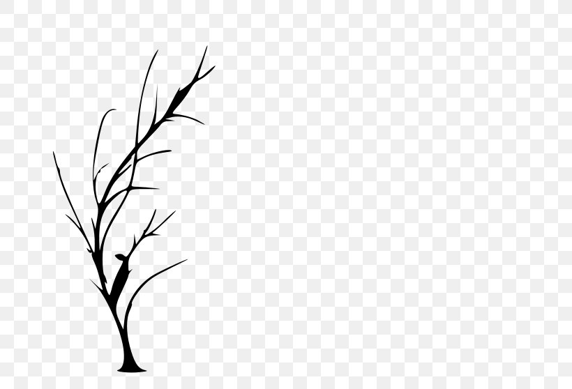 Tree Silhouette Drawing Clip Art, PNG, 800x558px, Tree, Black, Black And White, Cedar, Drawing Download Free