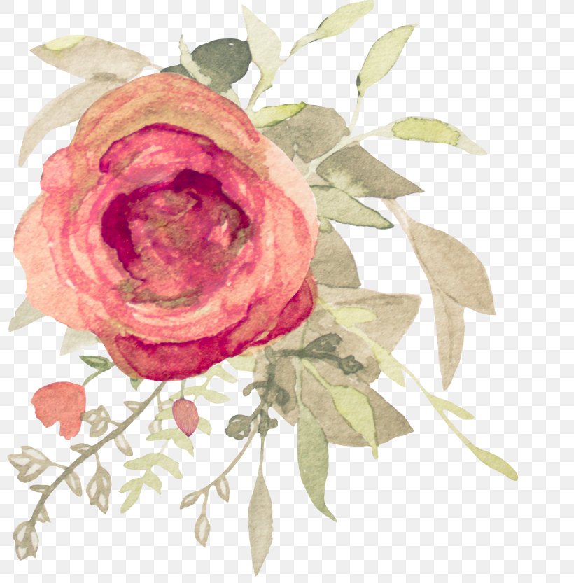 Garden Roses, PNG, 800x833px, Pink, Flower, Garden Roses, Hybrid Tea Rose, Petal Download Free