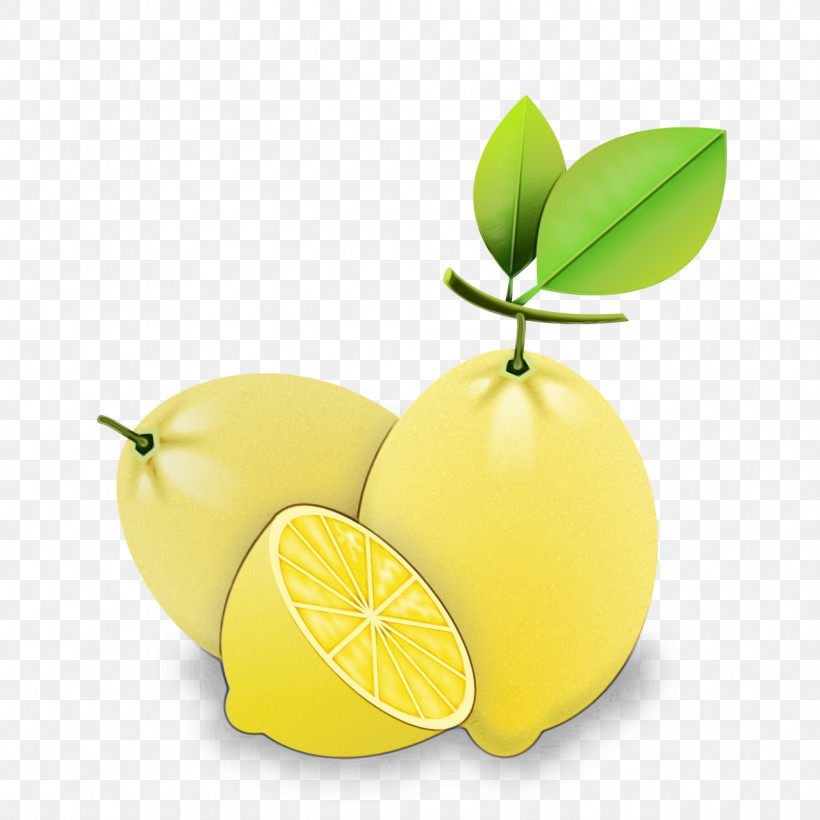 Lemon Key Lime Citron Persian Lime Lime, PNG, 1280x1280px, Watercolor, Acid, Citric Acid, Citron, Citrus Fruit Download Free