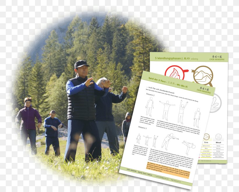 Qigong Tai Chi Yiquan Recreation Education, PNG, 800x660px, Qigong, Advertising, Austria, Brand, Education Download Free