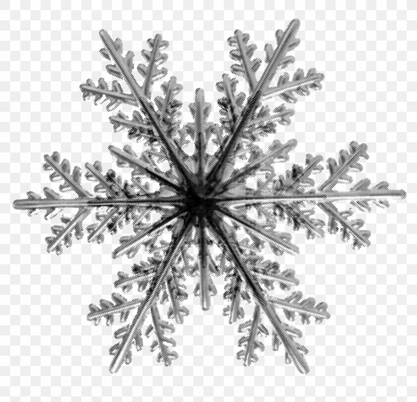 Snowflake Child, PNG, 1000x965px, Snowflake, Atmosphere, Black And White, Branch, Child Download Free