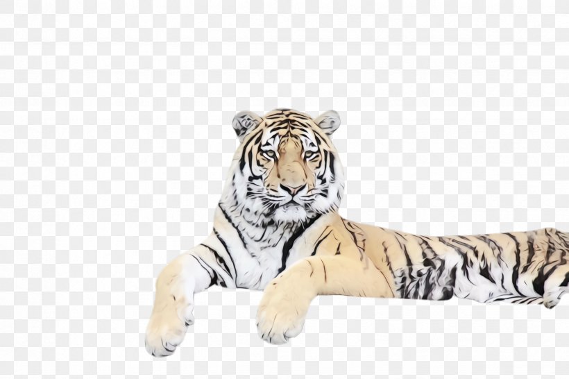 Tiger Bengal Tiger Siberian Tiger Wildlife Animal Figure, PNG, 2448x1632px, Watercolor, Animal Figure, Bengal Tiger, Big Cats, Paint Download Free