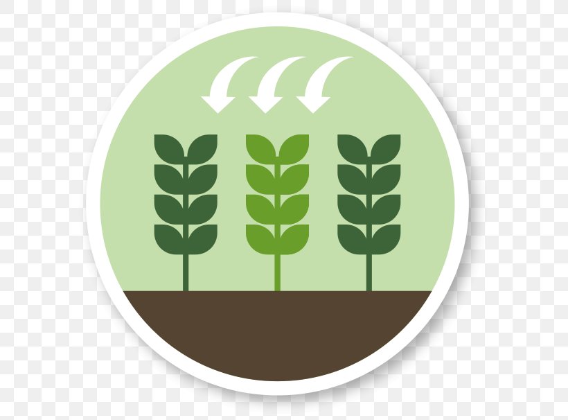 Agriculture Fertilisers Foliar Feeding, PNG, 606x606px, Agriculture, Art, Brand, Fertilisers, Foliar Feeding Download Free