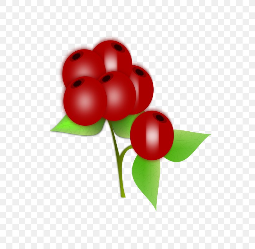 Berry Fruit Clip Art, PNG, 566x800px, Berry, Blueberry, Cherry, Flower, Food Download Free