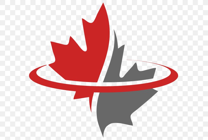 Flag Of Canada Maple Leaf, PNG, 613x553px, Canada, Flag Of Canada, Flower, Flowering Plant, Leaf Download Free