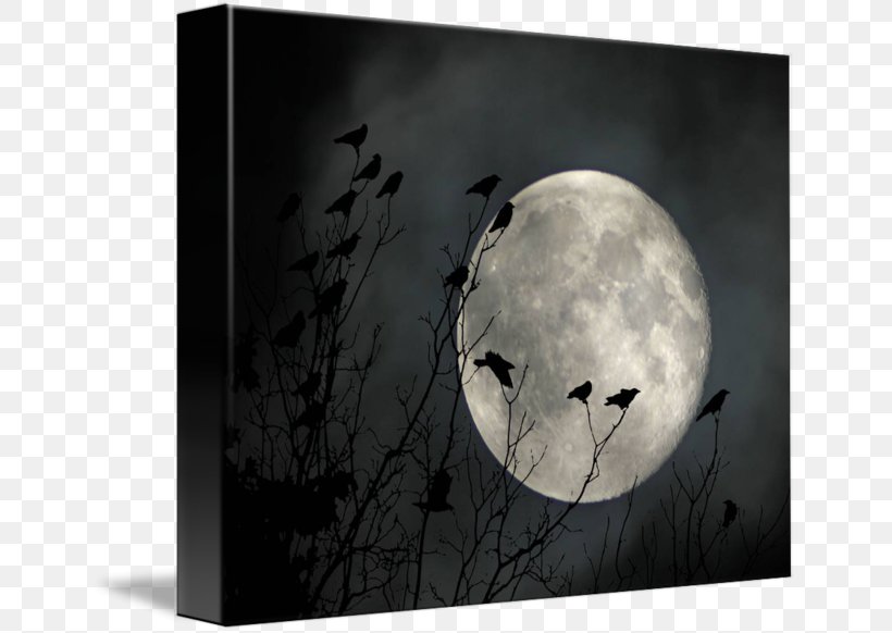 Imagekind Art Picture Frames Poster Moon, PNG, 650x582px, Imagekind, Art, Black And White, Canvas, Com Download Free