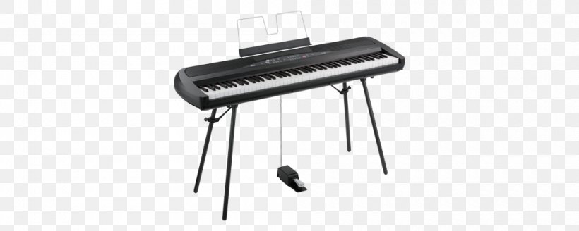 Korg SP-280 Electronic Keyboard Digital Piano Korg B1, PNG, 1000x400px, Korg Sp280, Action, Casio Privia Px160, Circuit Component, Digital Piano Download Free