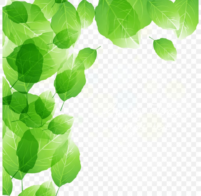 Vector Green Leaf, PNG, 800x800px, Leaf, Cleaning, Grass, Green, Pattern Download Free