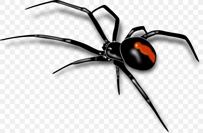 Amazing Spiders Clip Art, PNG, 3840x2519px, Spider, Amazing Spiders, Arachnid, Arthropod, Black Widow Download Free
