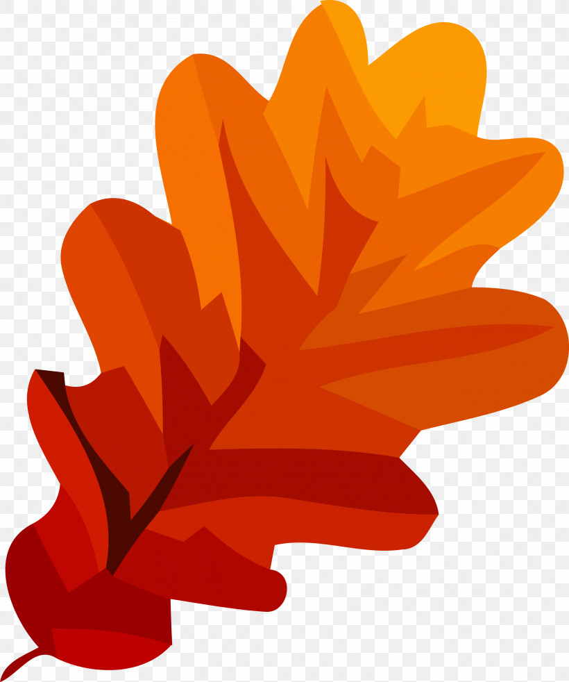 Autumn Leaf Fall Leaf Yellow Leaf, PNG, 2564x3071px, Autumn Leaf, Fall Leaf, Flower, Leaf, Orange Download Free