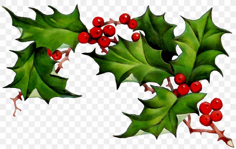 Borders Clip Art Borders And Frames Common Holly Openclipart, PNG ...