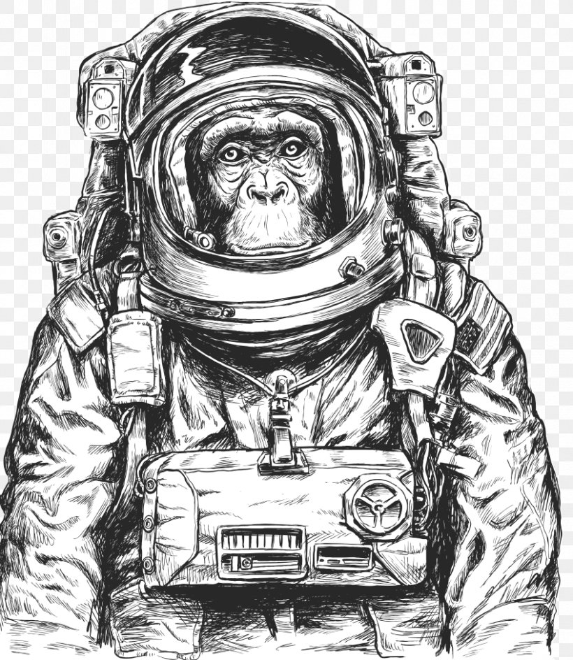 Chimpanzee Monkeys And Apes In Space, PNG, 848x977px, Chimpanzee, Art, Astronaut, Black And White, Drawing Download Free