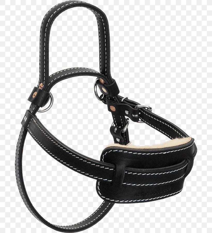 Dog Harness Guide Dog Mobility Assistance Dog Horse Harnesses, PNG, 706x900px, Dog, Assistance Dog, Disability, Dog Harness, Electrical Wires Cable Download Free